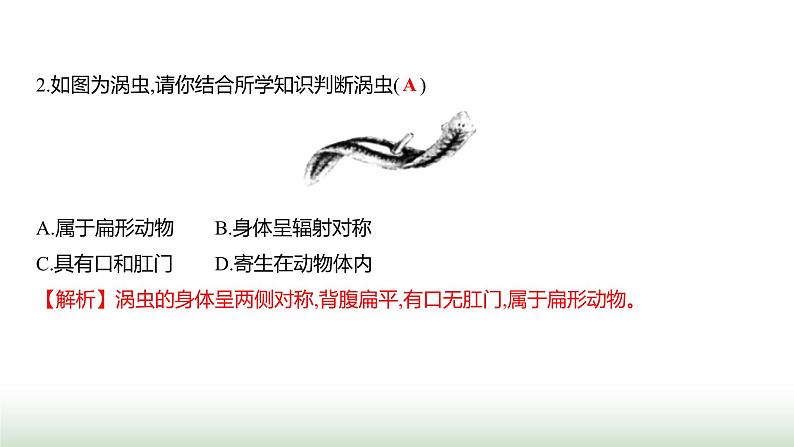 人教版八年级生物上册期中素养测评卷课件03