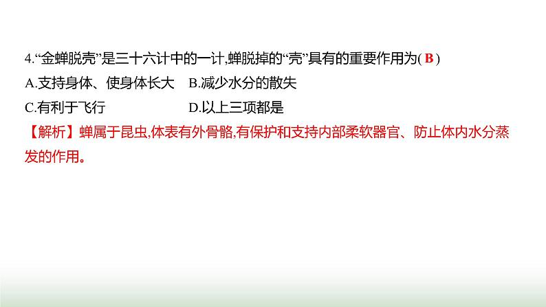 人教版八年级生物上册期中素养测评卷课件05