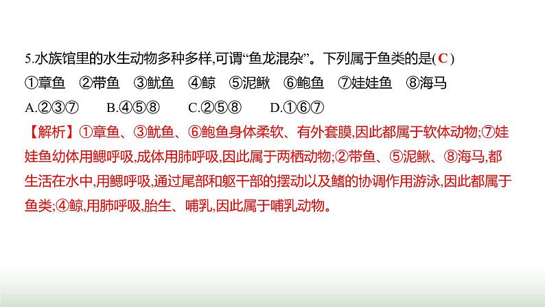 人教版八年级生物上册期中素养测评卷课件06