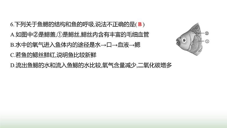 人教版八年级生物上册期中素养测评卷课件07