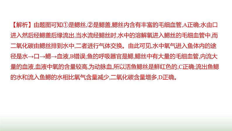 人教版八年级生物上册期中素养测评卷课件08