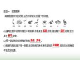 人教版八年级生物上册期末必考点题组测评卷课件