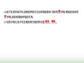 人教版八年级生物上册期末必考点题组测评卷课件