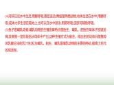 人教版八年级生物上册期末必考点题组测评卷课件