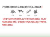 人教版八年级生物上册期末素养测评卷(达标)课件