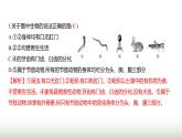 人教版八年级生物上册期末素养测评卷(提升)课件