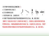 人教版八年级生物上册期末素养测评卷(提升)课件