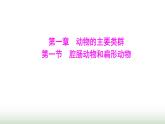 人教版八年级生物上册第五单元第一章第一节腔肠动物和扁形动物课件