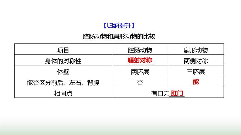 人教版八年级生物上册第五单元第一章第一节腔肠动物和扁形动物课件第5页