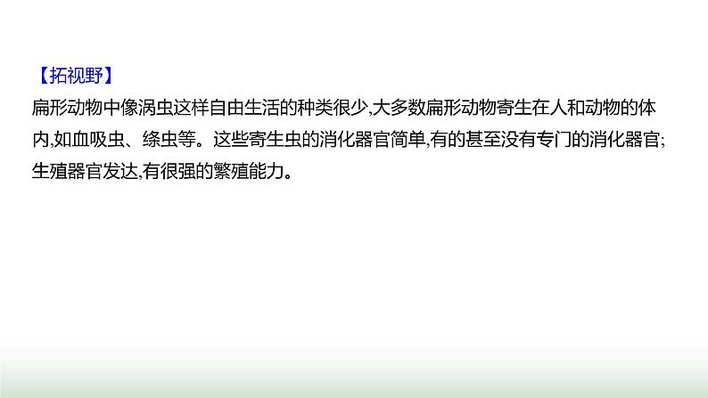 人教版八年级生物上册第五单元第一章第一节腔肠动物和扁形动物课件第8页