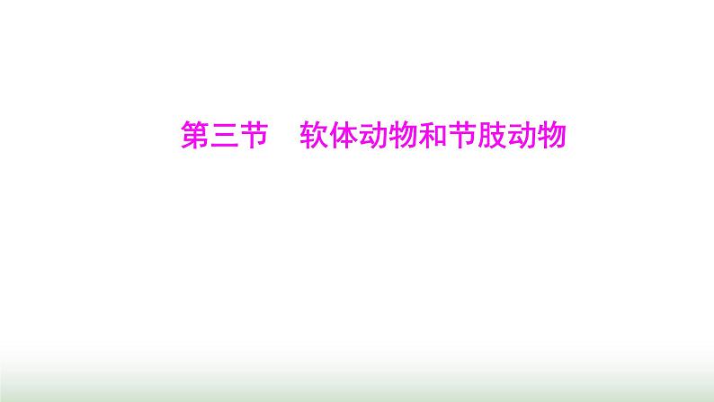 人教版八年级生物上册第五单元第一章第三节软体动物和节肢动物课件01