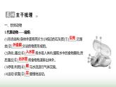 人教版八年级生物上册第五单元第一章第三节软体动物和节肢动物课件