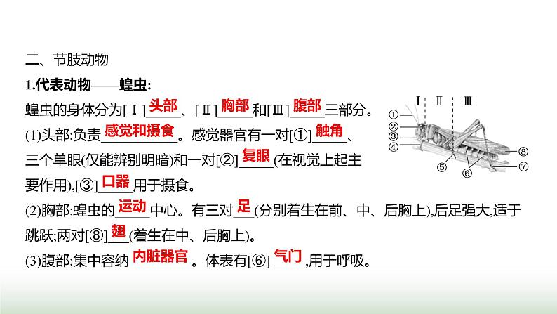 人教版八年级生物上册第五单元第一章第三节软体动物和节肢动物课件04