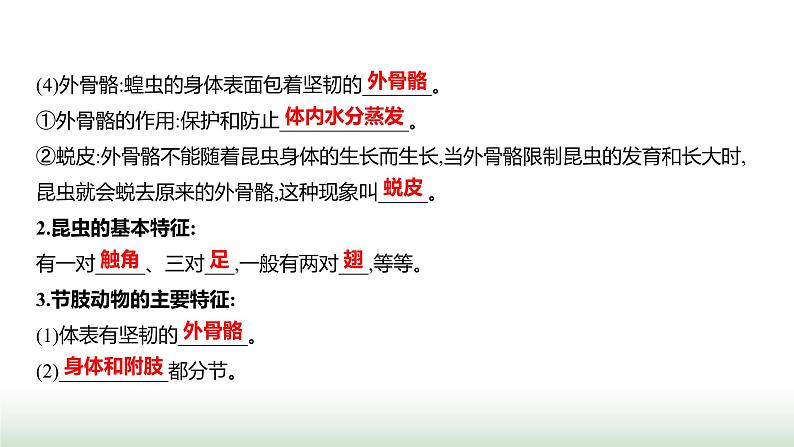 人教版八年级生物上册第五单元第一章第三节软体动物和节肢动物课件05