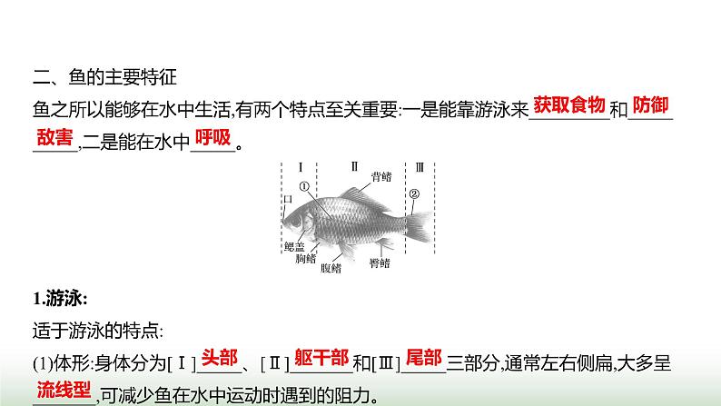 人教版八年级生物上册第五单元第一章第四节鱼课件第3页