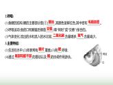 人教版八年级生物上册第五单元第一章第四节鱼课件