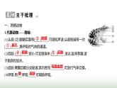 人教版八年级生物上册第五单元第一章第五节两栖动物和爬行动物课件