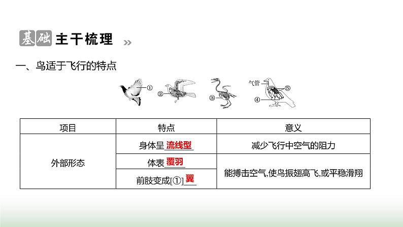 人教版八年级生物上册第五单元第一章第六节鸟课件第2页