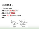 人教版八年级生物上册第五单元第一章第七节哺乳动物课件