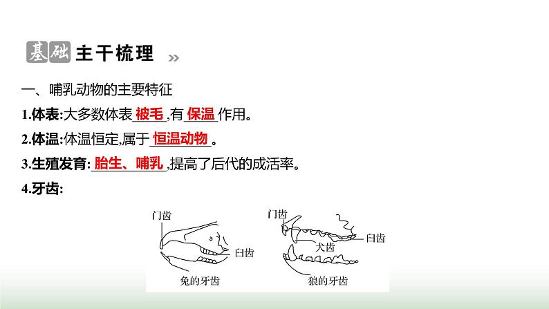 人教版八年级生物上册第五单元第一章第七节哺乳动物课件第2页