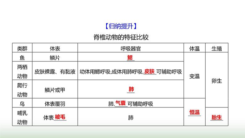 人教版八年级生物上册第五单元第一章第七节哺乳动物课件第5页