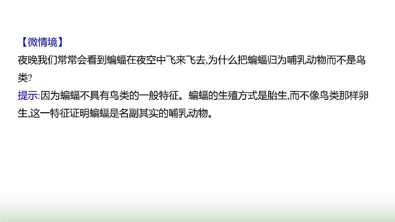 人教版八年级生物上册第五单元第一章第七节哺乳动物课件第7页