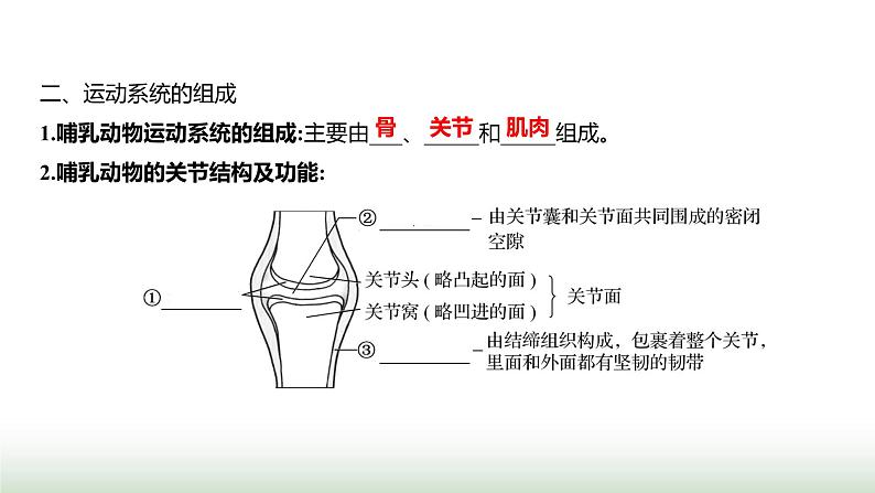 人教版八年级生物上册第五单元第二章第一节动物的运动课件03