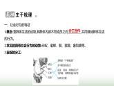 人教版八年级生物上册第五单元第二章第三节社会行为课件