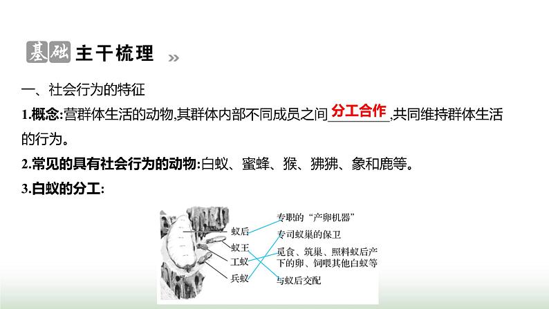 人教版八年级生物上册第五单元第二章第三节社会行为课件第2页