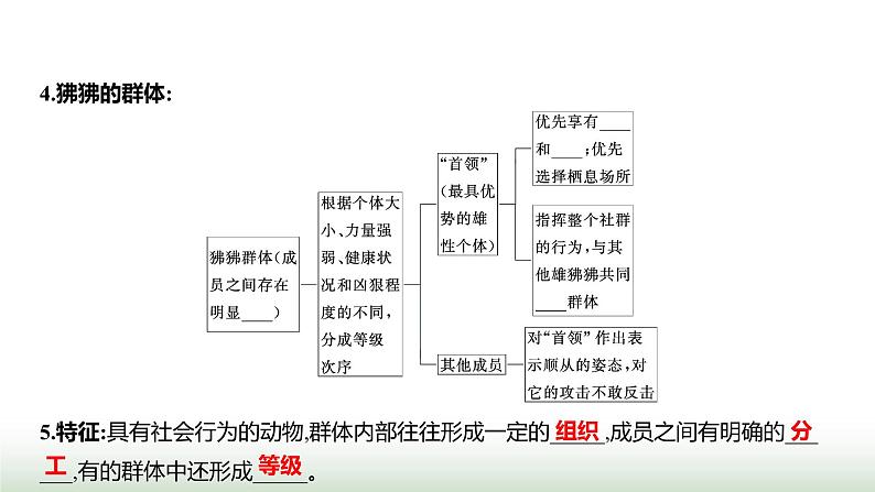 人教版八年级生物上册第五单元第二章第三节社会行为课件第3页