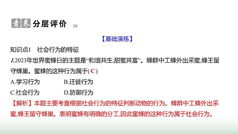 人教版八年级生物上册第五单元第二章第三节社会行为课件第8页