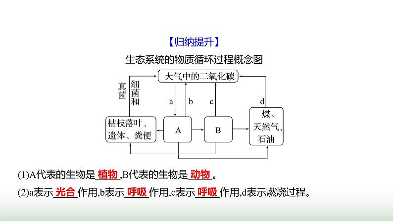 人教版八年级生物上册第五单元第三章动物在生物圈中的作用课件第5页