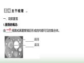 人教版八年级生物上册第五单元第四章第一节细菌和真菌的分布课件