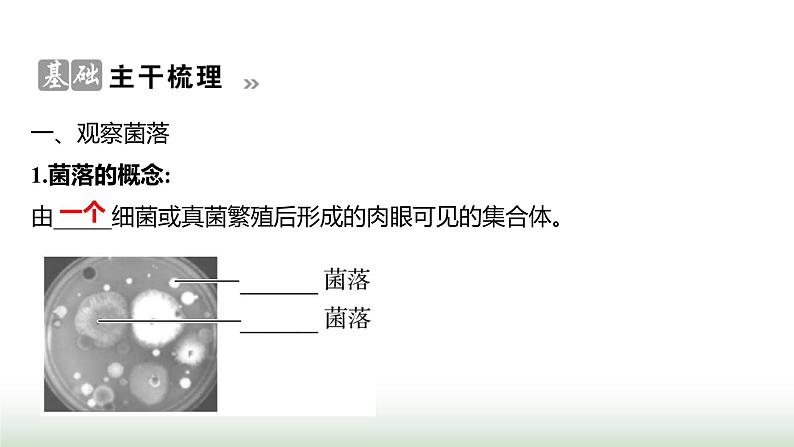 人教版八年级生物上册第五单元第四章第一节细菌和真菌的分布课件第2页