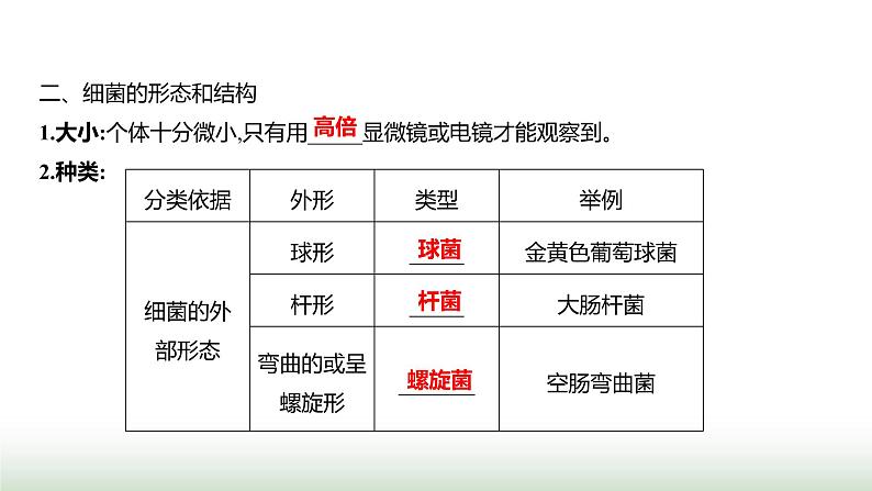 人教版八年级生物上册第五单元第四章第二节细菌课件第3页