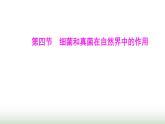 人教版八年级生物上册第五单元第四章第四节细菌和真菌在自然界中的作用课件