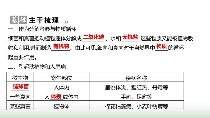 人教版八年级生物上册第五单元第四章第四节细菌和真菌在自然界中的作用课件第2页