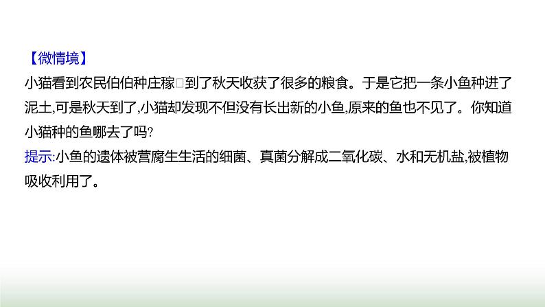 人教版八年级生物上册第五单元第四章第四节细菌和真菌在自然界中的作用课件第7页