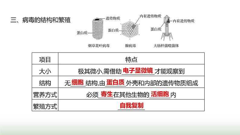 人教版八年级生物上册第五单元第五章病毒课件第3页