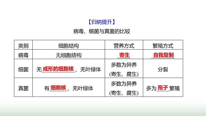 人教版八年级生物上册第五单元第五章病毒课件第5页