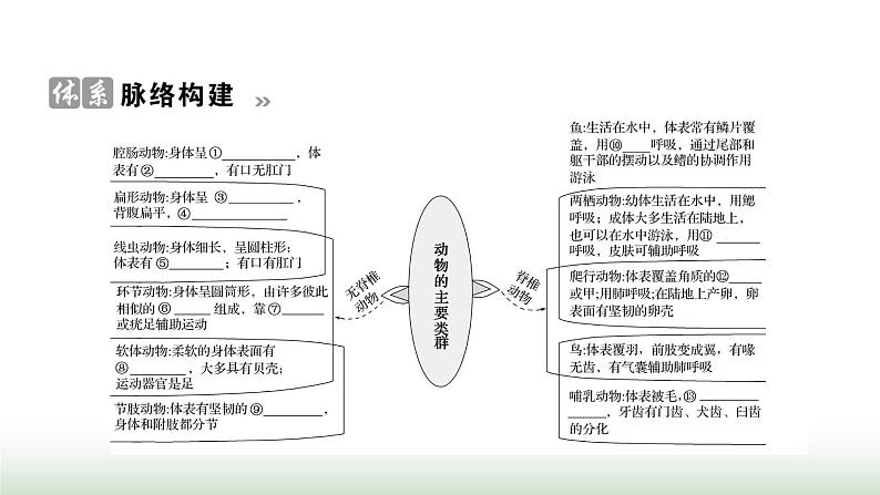 人教版八年级生物上册第五单元复习课(一)课件02