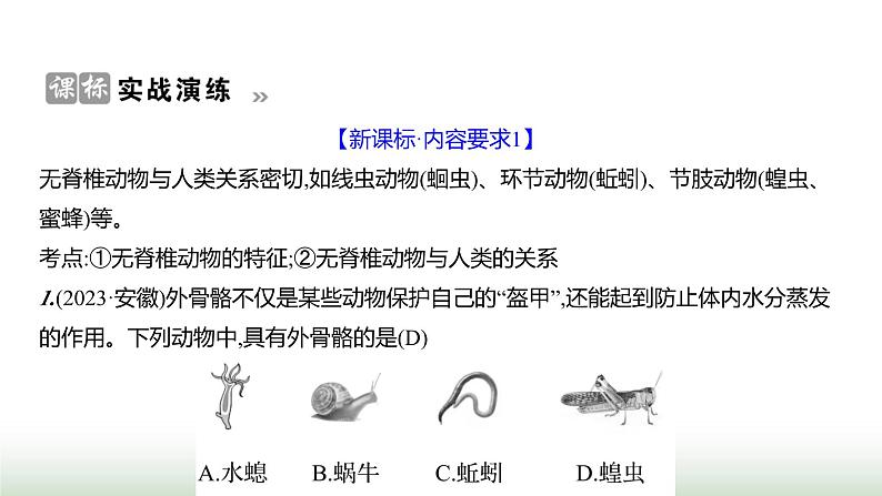 人教版八年级生物上册第五单元复习课(一)课件05