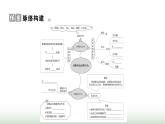 人教版八年级生物上册第五单元复习课(二)课件