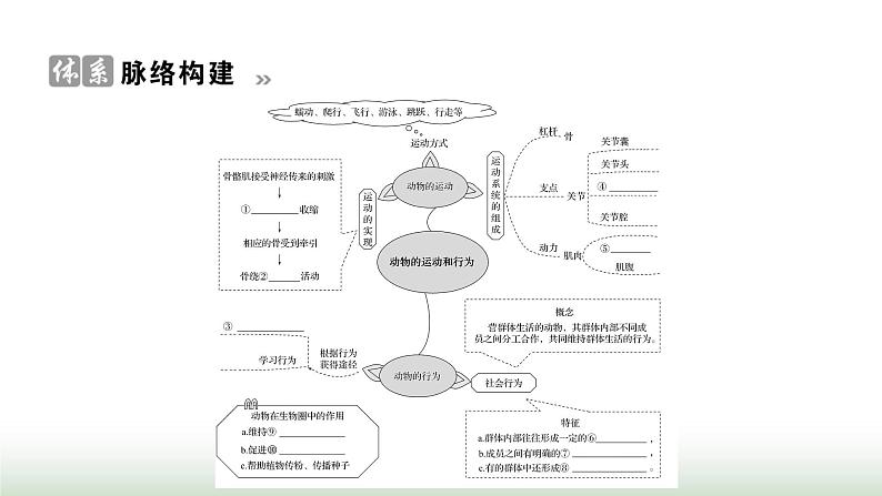 人教版八年级生物上册第五单元复习课(二)课件第2页