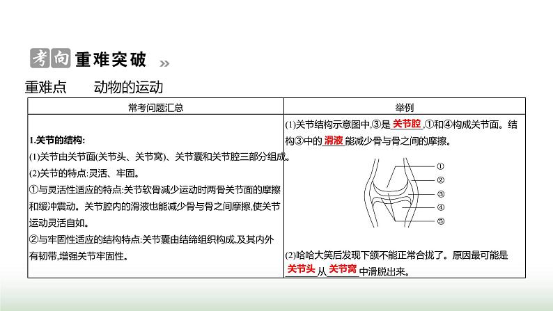 人教版八年级生物上册第五单元复习课(二)课件第3页