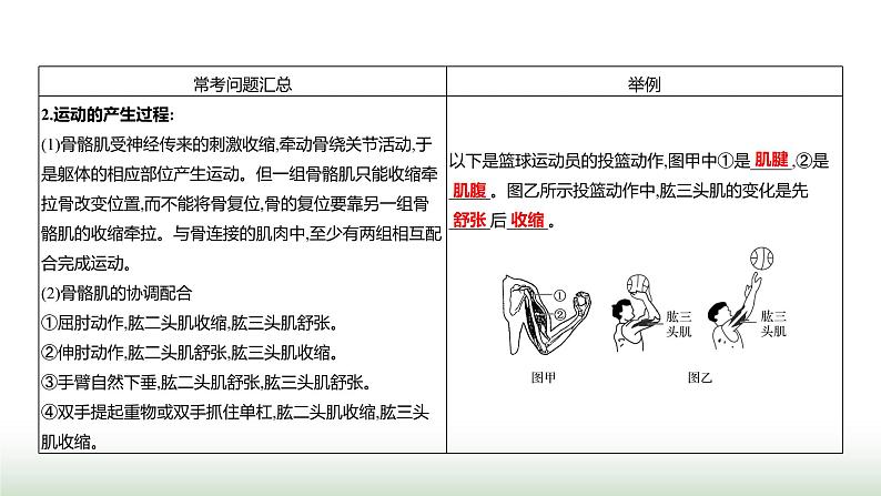 人教版八年级生物上册第五单元复习课(二)课件第4页