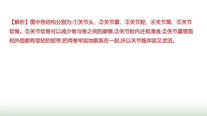 人教版八年级生物上册第五单元复习课(二)课件第7页