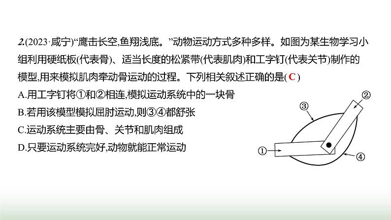 人教版八年级生物上册第五单元复习课(二)课件第8页
