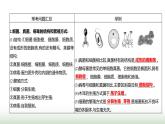 人教版八年级生物上册第五单元复习课(三)课件