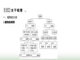 人教版八年级生物上册第六单元第一章第一节尝试对生物进行分类课件